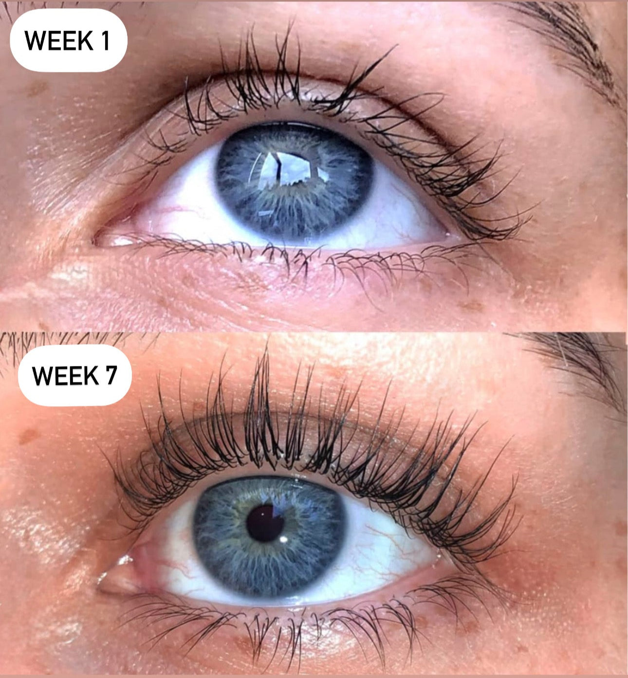 Unleash Your Confidence with Stunning, Lush Lashes!